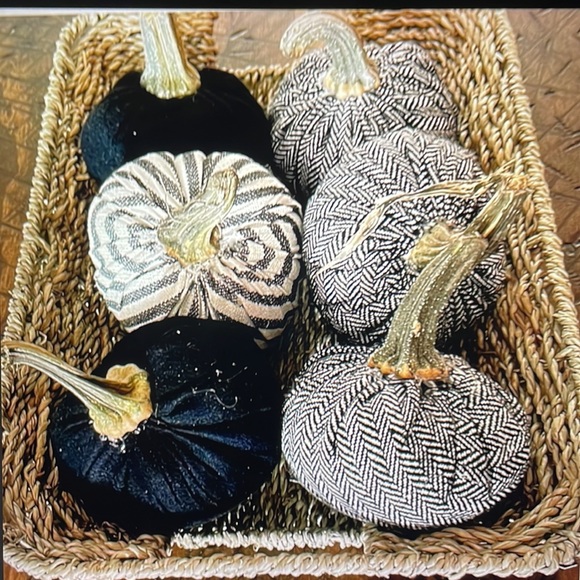 Pumpkin handmade w/real pumpkin stems - Picture 8 of 9